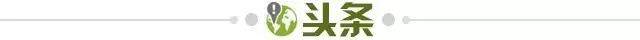 赏金女王app-【早报】逆转！哈维用兵如神？